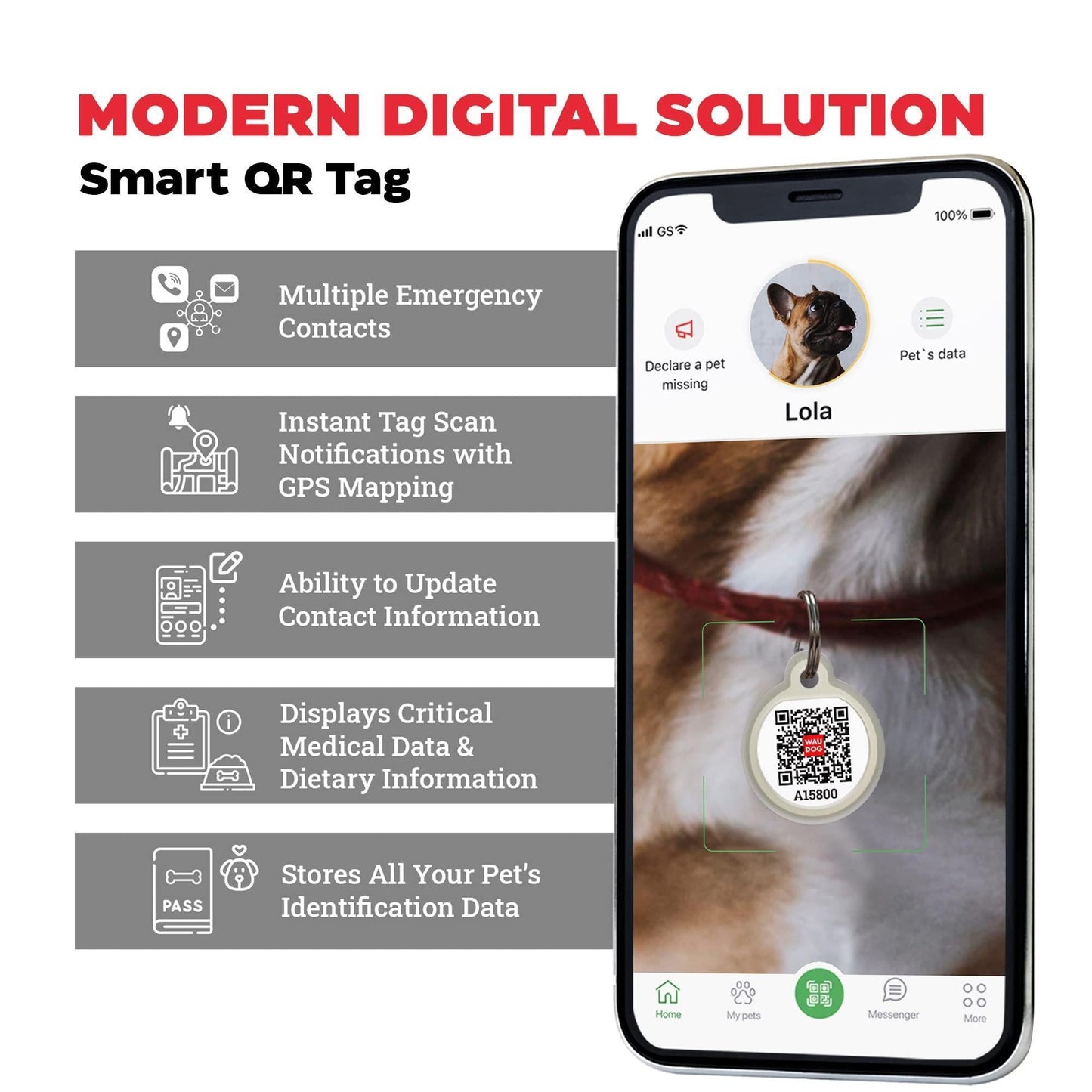 Arnes y Tag de identificacion Inteligente